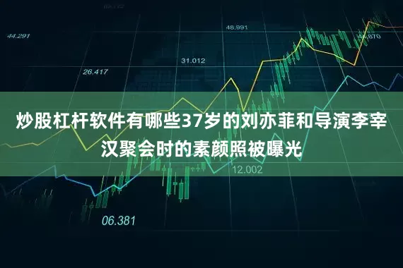 炒股杠杆软件有哪些37岁的刘亦菲和导演李宰汉聚会时的素颜照被曝光