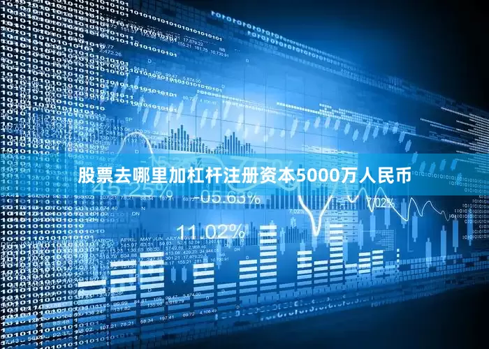 股票去哪里加杠杆注册资本5000万人民币