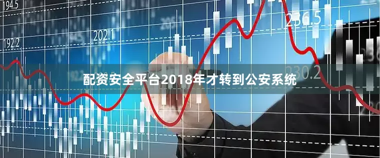 配资安全平台2018年才转到公安系统